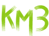 KM3 Logo